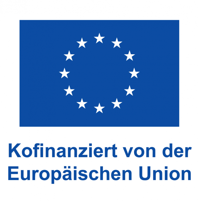 de_v_kofinanziert_von_der_europaeischen_union_web_blau.jpg