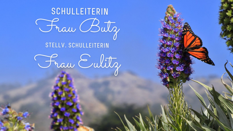 kirschbluete_facebook_titelbild.jpg